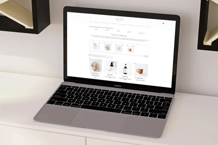 Professional ecommerce website developed by Appicua