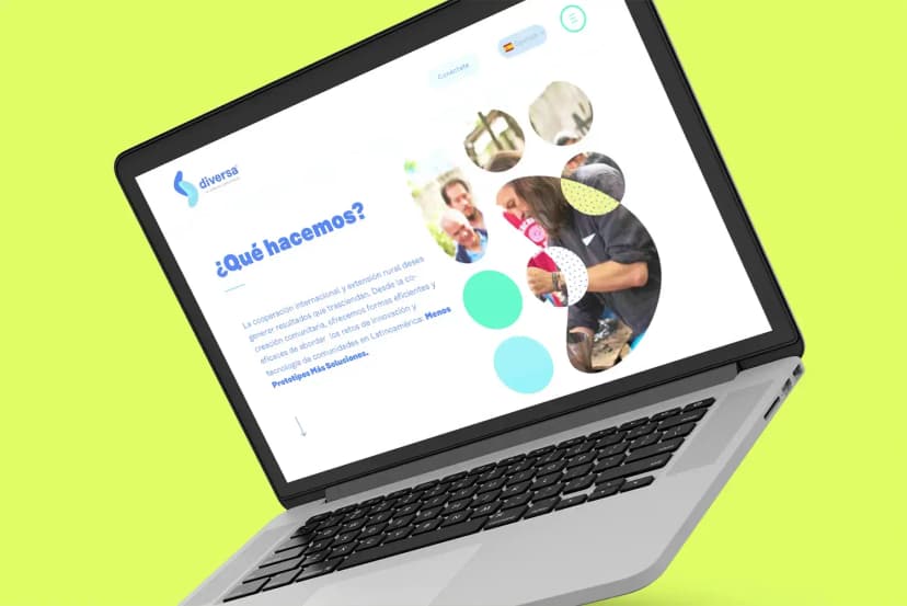 eLearning and cocreation platform for Diversa organization